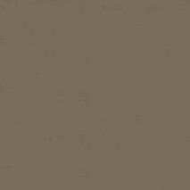 benjamin moore carter gray cw 80