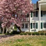 How To Paint A Room – 20 Steps You Need to Know