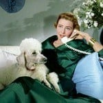 What’s the Difference Between a Designer and a Decorator?