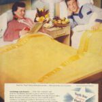 Sophisticated Twin Beds – 20 Ideas For Grownup Bedrooms