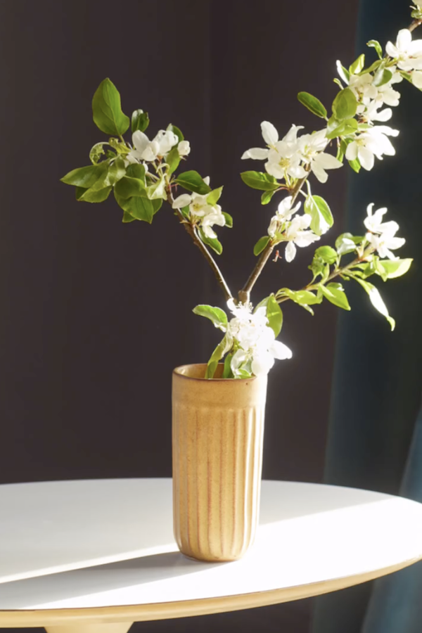 Benjamin Moore COTY 2025 Silhouette