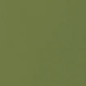 Farrow & Ball Sap Green