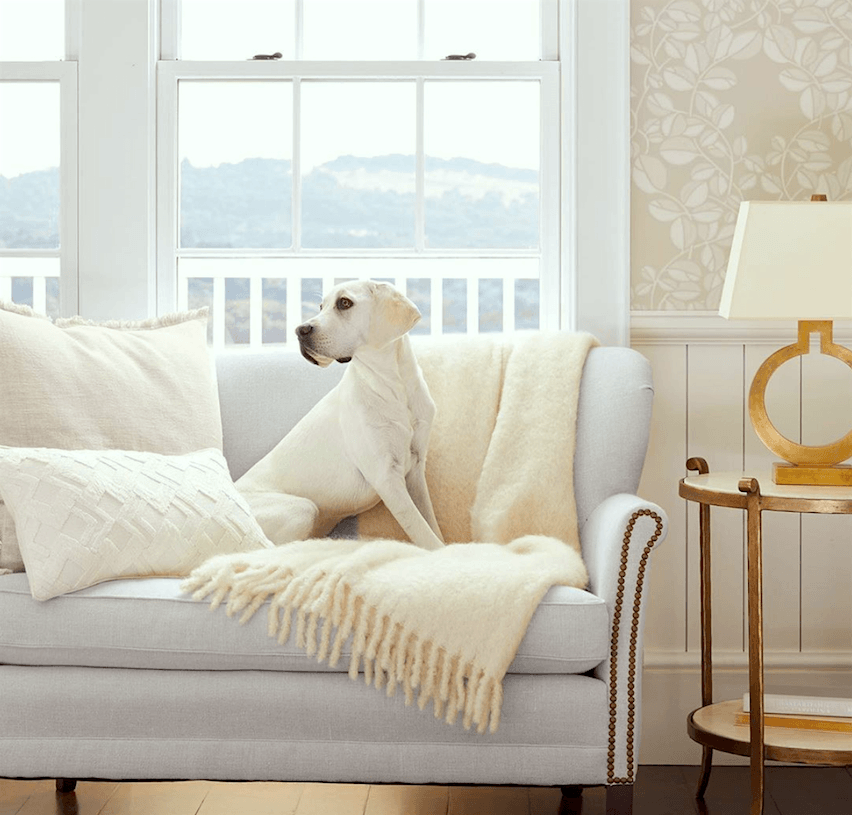 via @serenaandlily on instagram - pale living room - pale settee - cute doggie